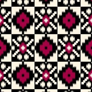 Rani Noir 2 Piece Printed Lawn Suit