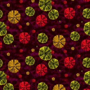 Ruby Radiance 2 Piece Printed Lawn Suit